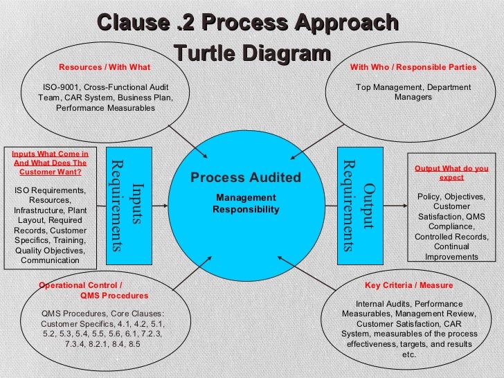 a turtle diagram hr